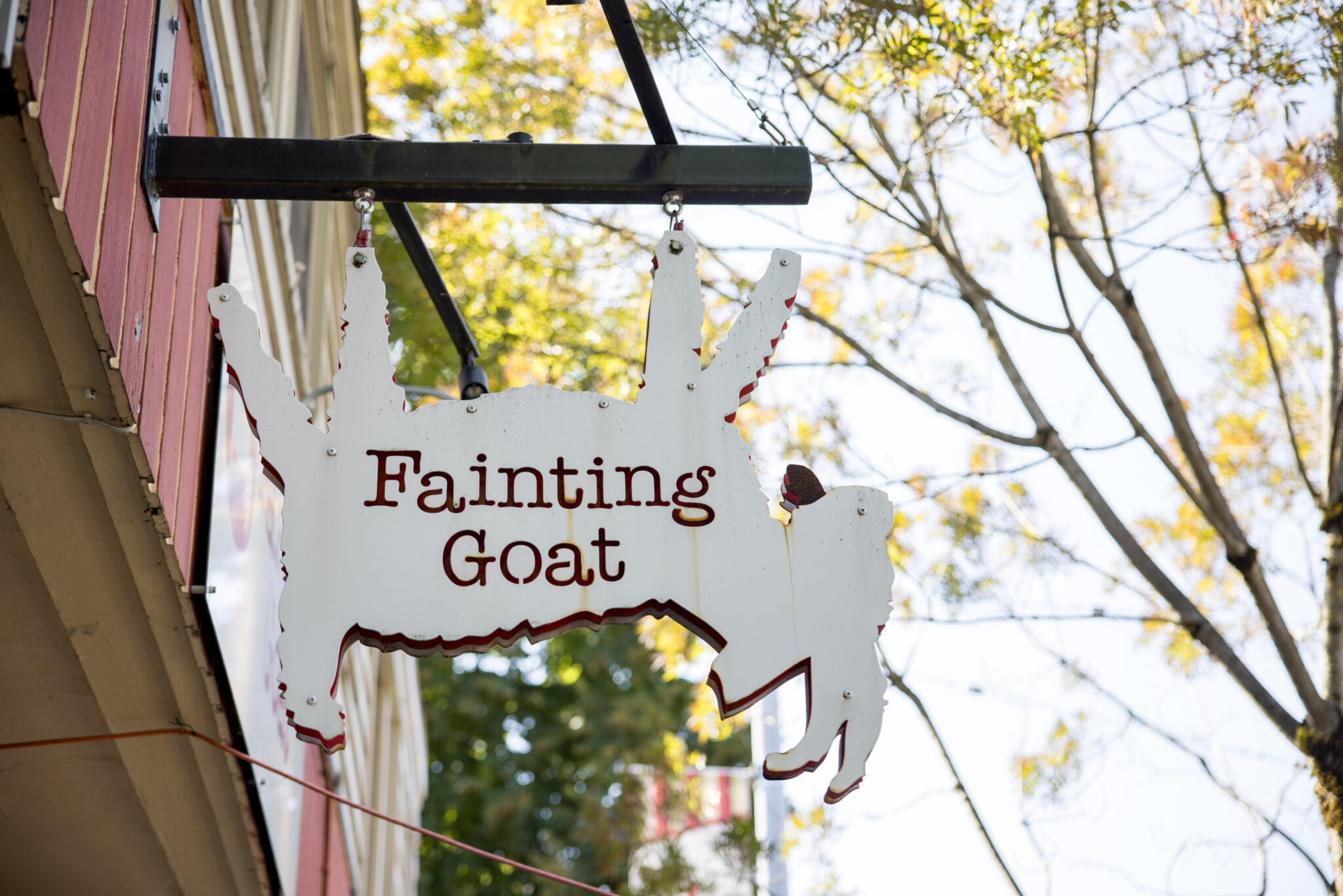 Outdoor shop sign for fainting goat